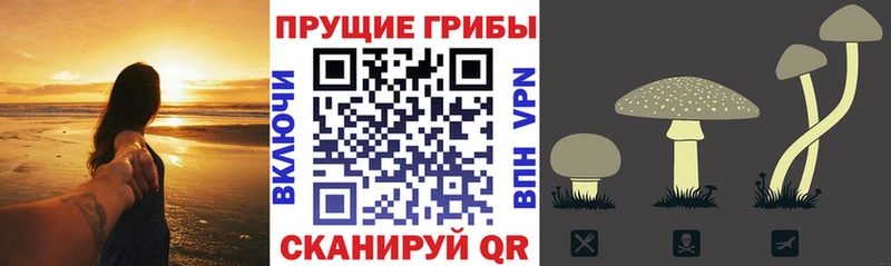 Галлюциногенные грибы Magic Shrooms  Купить  Краснокаменск 